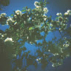 Meet your Posher, Leanna